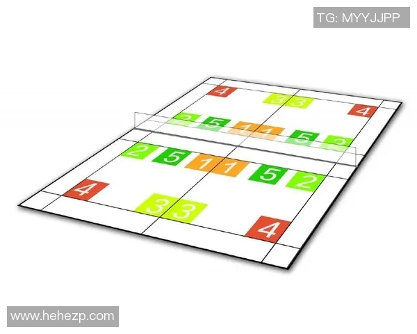 南京羽毛球队在全国锦标赛中的战术表现分析与总结